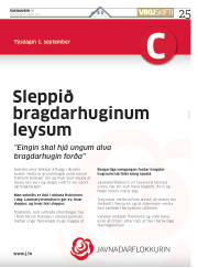 Síða 25
