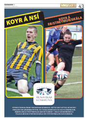 Síða 43