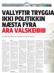 Síða 8
