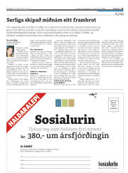 Síða 13