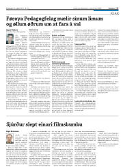 Síða 17