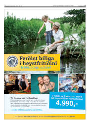 Síða 13