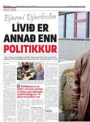 Síða 14