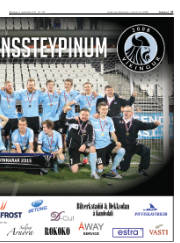 Síða 17