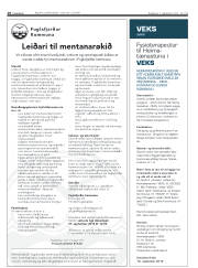 Síða 18