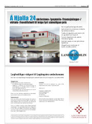 Síða 25