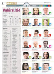 Síða 8