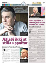 Síða 11