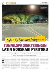 Síða 12