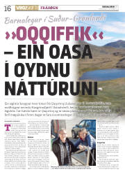 Síða 16