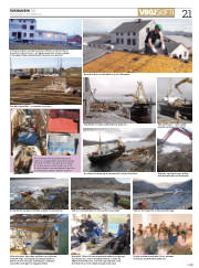 Síða 21