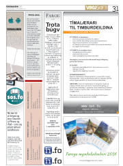 Síða 31