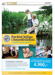 Síða 40