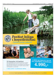 Síða 3