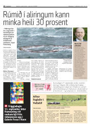 Síða 16