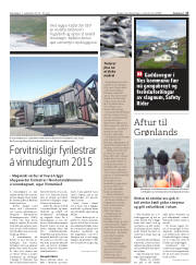 Síða 17