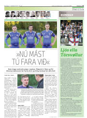 Síða 31