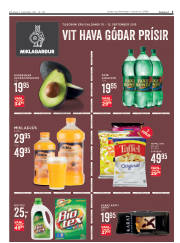 Síða 3
