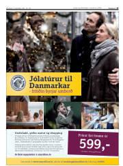 Síða 19