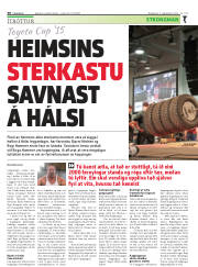 Síða 30