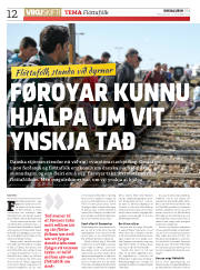 Síða 12