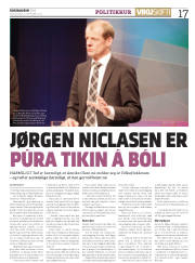 Síða 17