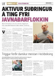 Síða 18
