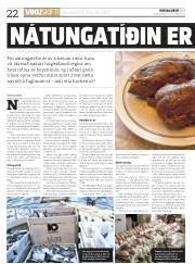 Síða 22