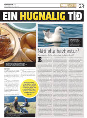 Síða 23
