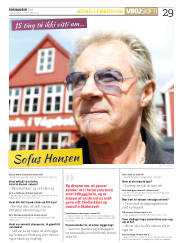 Síða 29