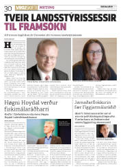 Síða 30