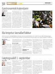 Síða 32