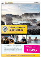 Síða 40