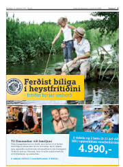 Síða 3