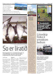 Síða 17