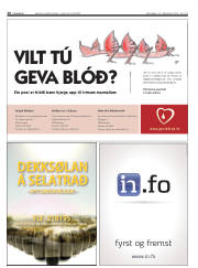 Síða 20