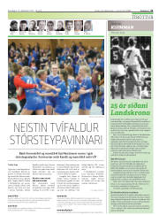 Síða 31