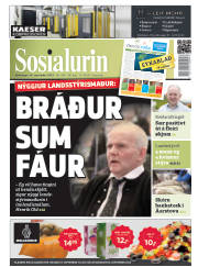 Síða 1