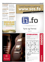 Síða 13