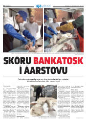 Síða 22