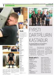 Síða 31