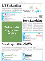 Síða 42