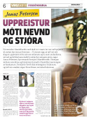 Síða 6