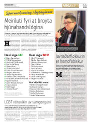 Síða 11
