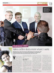 Síða 13