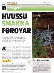 Síða 24