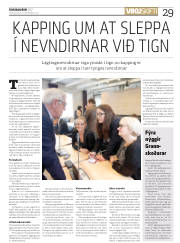 Síða 29