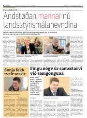 Síða 8