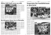 Síða 17
