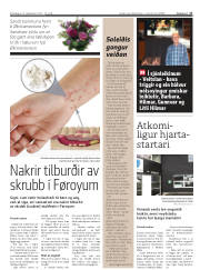 Síða 17